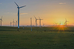 風(fēng)力發(fā)電